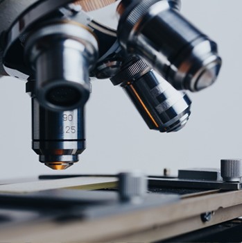 product-349-350 350 1